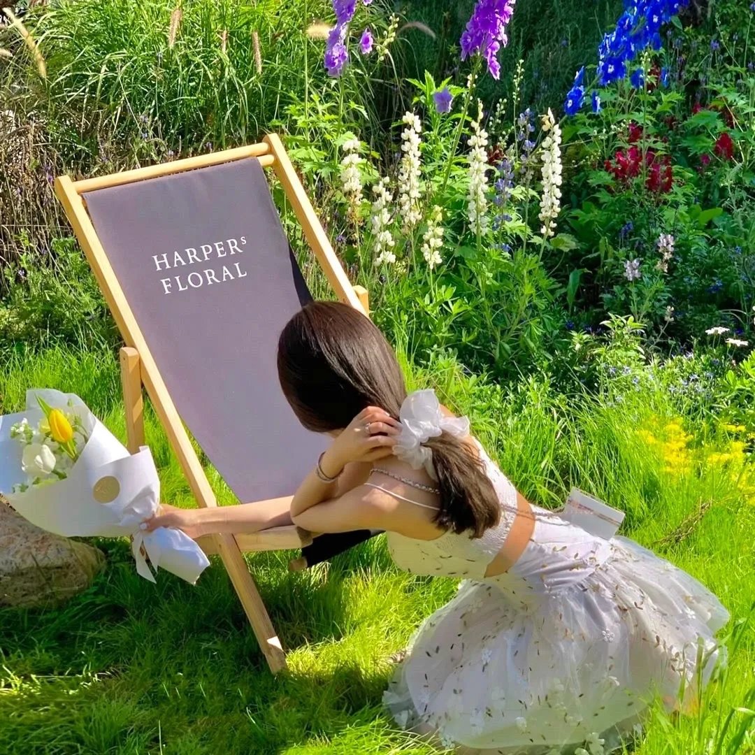 墨先生，快来宠我吧